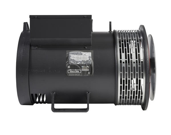 Mecc Alte ECP32-2M/4 (50 кВт)